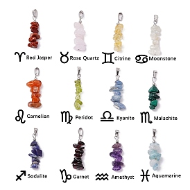 12Pcs 12 Style 12 Constellation Mixed Gemstone Pendants, Chip Charms with 304 Stainless Steel Snap on Bails, Stainless Steel Color