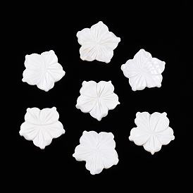 Natural Freshwater Shell Carved Cabochons, Flower