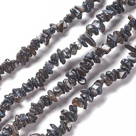 Natural Freshwater Shell Beads Strands, Nuggets Chips