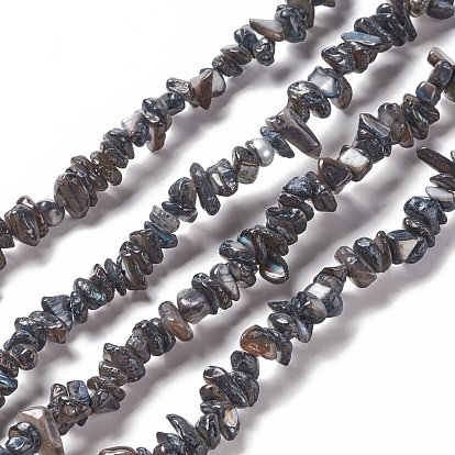 Natural Freshwater Shell Beads Strands, Nuggets Chips