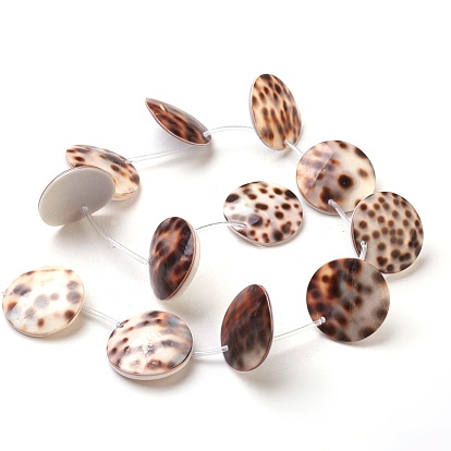 Tiger Cowrie Shell Beads Strands, Flat Round