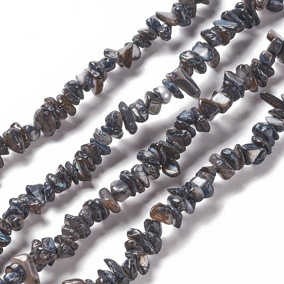 Natural Freshwater Shell Beads Strands, Nuggets Chips