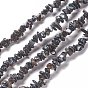 Natural Freshwater Shell Beads Strands, Nuggets Chips