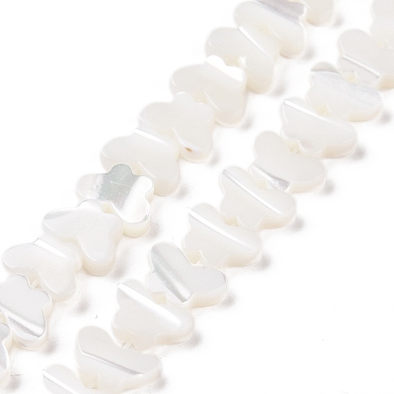 Natural Trochus Shell Beads Strands, Butterfly