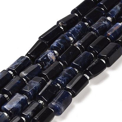 Natural Sodalite Beads Strands, with Seed Beads, Faceted Column