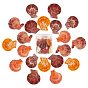 Natural Sea Shell Beads, Undrilled/No Hole Beads