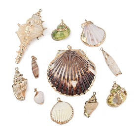 Natural Shell Pendants, Shell Shape Charms