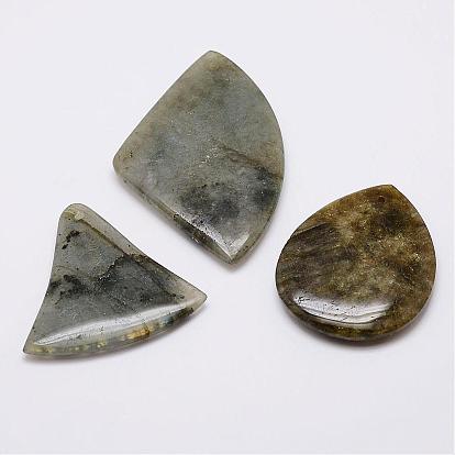Natural Labradorite Pendants, Mixed Shapes