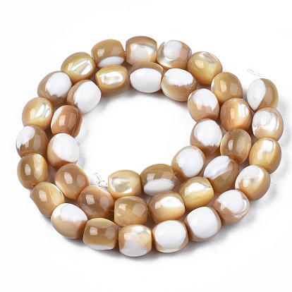 Natural Trochid Shell/Trochus Beads Strands, Barrel