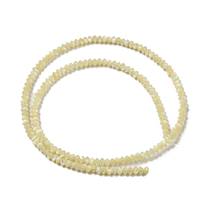 Natural Trochus Shell Rondelle Beads Strands, Saucer Beads