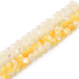 Natural Shell Beads Strands, Round