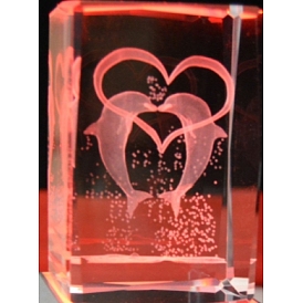 Transparent Glass Display Decorations, Rectangle with Double Dolphins