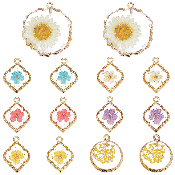 14Pcs 7 Styles Resin Pendants, with Dried Flower and Edge Light Gold Plated Iron Loop, Mixed Shapes
