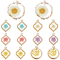 14Pcs 7 Styles Resin Pendants, with Dried Flower and Edge Light Gold Plated Iron Loop, Mixed Shapes