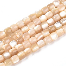 Натуральная оболочка из трохидных оболочек, колонка