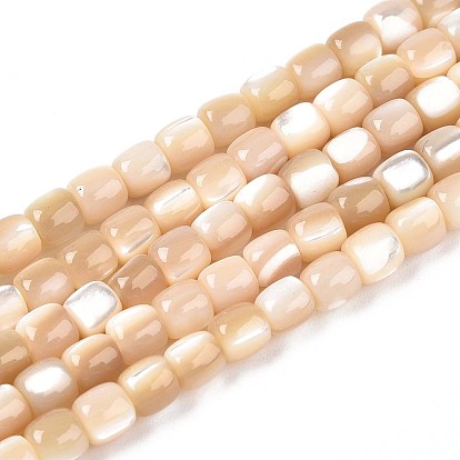 Натуральная оболочка из трохидных оболочек, колонка