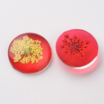Handmade Glass Flat Back Cabochons, Half Round/Dome, with Dried Flower