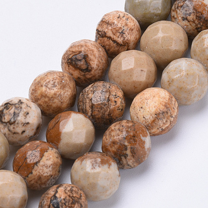 Natural Picture Jasper Beads Strands, Faceted, Round