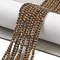 Природные тигр железа бисер нитей, граненые, круглые