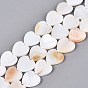 Natural Freshwater Shell Beads Strands, Heart