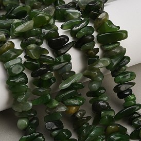 Natural Canadian Jade Beads Strands, Chip