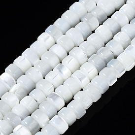 Brins de perles de coquille de trochid / trochus shell, eau de Javel, colonne