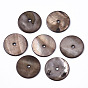 Natural Freshwater Shell Beads, Disc