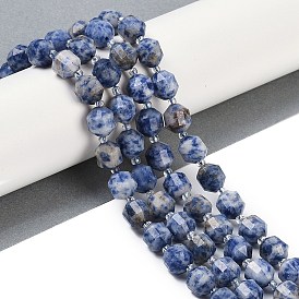 Natural Blue Spot Jasper Beads Strands, Faceted, Bicone, Double Terminated Point Prism Beads