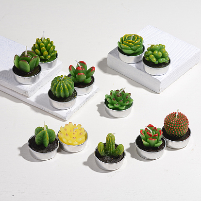 Cactus Paraffin Smokeless Candles, Artificial Succulents Decorative Candles, with Aluminium Containers, for Home Decoration