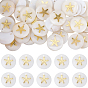 40Подвески из натуральных пресноводных ракушек., плоские круглые подвески с металлическими пластинками ракушки, золотые
