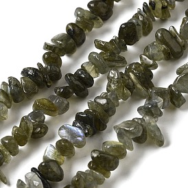 Natural Labradorite Beads Strands, Chip