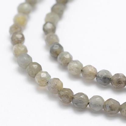 Natural Labradorite Beads Strands, Grade A+, Faceted, Round