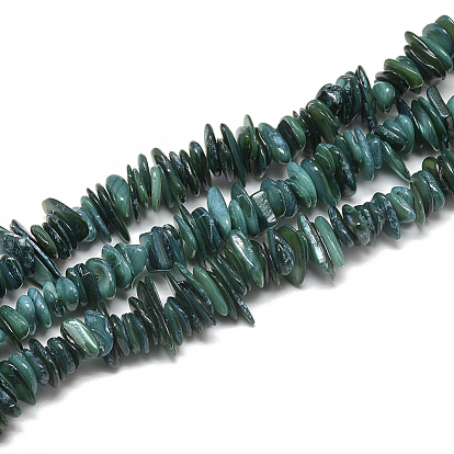 Freshwater Shell Beads Strands, Dyed, Chip