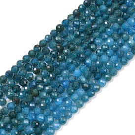 Природного апатита нитей бисера, граненые, круглые