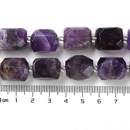 Natural Amethyst Beads Strands, Nuggets, Faceted, with Seed Beads