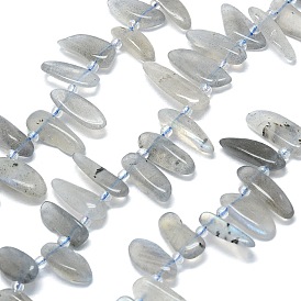 Natural Grey Moonstone Beads Strands, Nuggets, Top Drilled, with Seed Beads