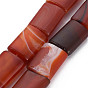 Brazil Red Agate Beads Strands, Dyed & Heated, Rectangle