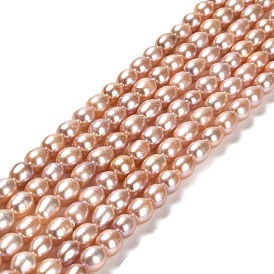 Natural Cultured Freshwater Pearl Beads Strands, Rice, Grade 5A
