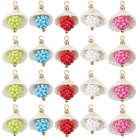 20 шт. 5 подвески из ракушек и стеклянных бусин разных цветов, с латунной бисера, подвески в форме ракушек, реальный 18 k позолоченный