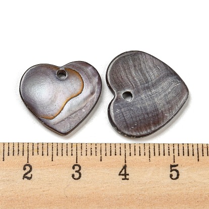 Natural Freshwater Shell Pendants, Heart Charms