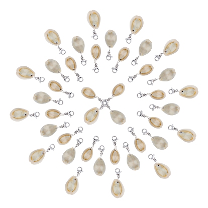 Natural Cowrie Shell Pendants, with 304 Stainless Steel Lobster Claw Clasps