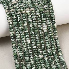 Natural Green Spot Jasper Beads Strands, Faceted Rondelle