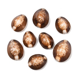 Овальные бусины из натуральной каури