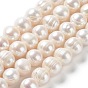 Natural Cultured Freshwater Pearl Beads Strands, Potato, Grade A