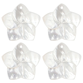 4 шт. подвески из натурального белого перламутра, 