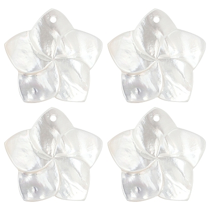 4 шт. подвески из натурального белого перламутра, 