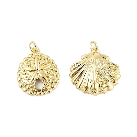 Латунные подвески, шарм песчаного доллара, подвески в виде ракушек/морских звезд, стойки покрытие, долговечный, без свинца и без кадмия, с целью перехода в кольце