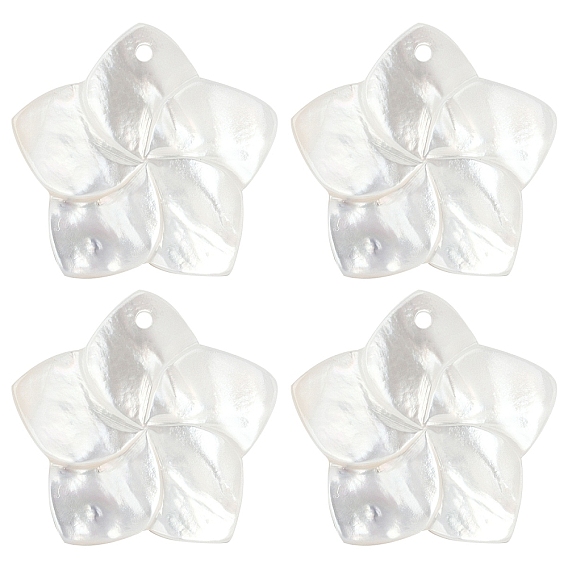 4 шт. подвески из натурального белого перламутра, 