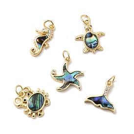 Латунные микро проложить кубического циркония подвески, с ракушкой пауа и эпоксидной смолой, стойки покрытие, долговечный, без свинца и без кадмия, реальный 18 k позолоченный, с целью перехода в кольце