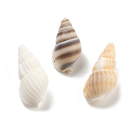 Natural Spiral Shell Beads, Center Drilled, Shell-Shaped